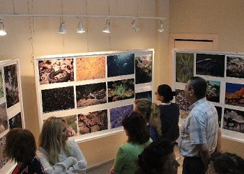 EÜ Fen Fakültesinden “Bilimin İmajları: Fotoğraf Sergisi”