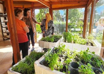 Karşıyaka’dan üretime 300 bin paket atalık tohum dayanağı