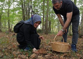 Kocaeli’nde Ormanya’da mantar avı düzenlendi