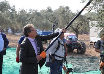 Lider Arslan öğrencilerle zeytin hasadı yaptı