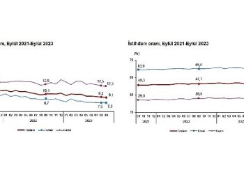 Mevsim tesirinden arındırılmış işsizlik oranı yüzde 9,1 düzeyinde gerçekleşti