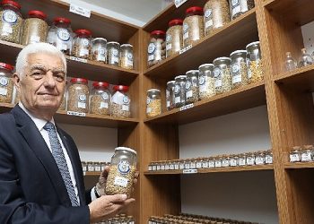 Muğla Büyükşehir Cumhuriyet’in 100.Yılında 1 Milyon Lokal Tohum Dağıtacak