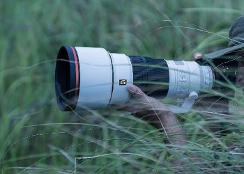 Sony Dünyanın En Hafif Geniş Diyaframlı Telefoto Prime Lensi G Master FE 300mm F2.8 GM OSS’yi Tanıttı