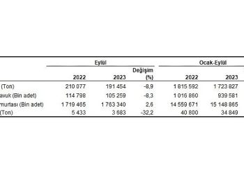 Tavuk eti üretimi 191 bin 454 ton, tavuk yumurtası üretimi 1,76 milyar adet olarak gerçekleşti