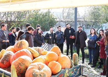 Üniversite öğrencilerine kompost eğitimi