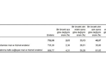 Ziraî girdi fiyat endeksi (Tarım-GFE) yıllık yüzde 40,97, aylık yüzde 2,63 arttı