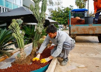 Antalya Büyükşehir Belediyesi kenti renklendiriyor