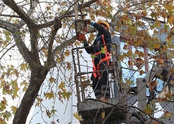 Bağcılar’da budanan kısımlar geri dönüşüme kazandırılıyor