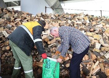 Bayrampaşa’da budanan ağaçlar konutları ısıtıyor