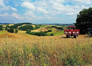 Büyükşehir’in gübre dayanağına üreticilerden ağır ilgi
