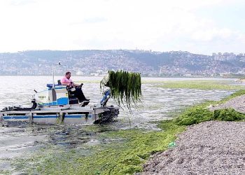 Dere, deniz ve kıyılardan 49 kamyon katı atık