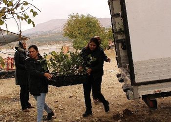 Elmalı’da 1300 aronya fidanı dağıtıldı 