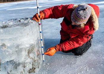Gençler kaygılı, dehşetli lakin birebir vakitte umutlu