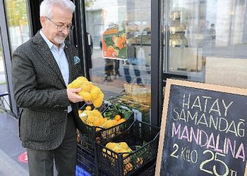 Hataylı üreticiye umut veren takviye