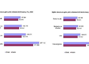 Kar Yapısı İstatistikleri, 2022