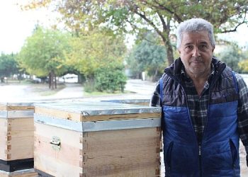 Kemer’de arı üreticilerine kovan takviyesi