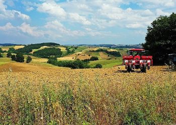 Kocaeli Büyükşehir’den çiftçilere yüzde 50 hibeli gübre takviyesi