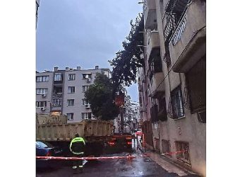 Konak Belediyesi takımları fırtınadan yıkılan ağaca müdahale etti