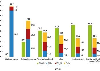 Küçük ve Orta Büyüklükteki Teşebbüs İstatistikleri, 2022