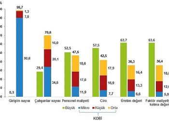 Küçük ve Orta Büyüklükteki Teşebbüs İstatistikleri, 2022