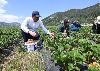 Lider Altay Konya’da Tarımın Gelişmesi İçin 461 Milyon Lira Takviye Sağladıklarını Açıkladı