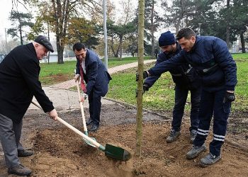 Lodos yıktı belediye yeşertiyor