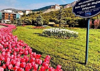 Muğla Büyükşehir Yeşil Alan Ölçüsünü Vilayet genelinde Yüzde 92 Arttırdı