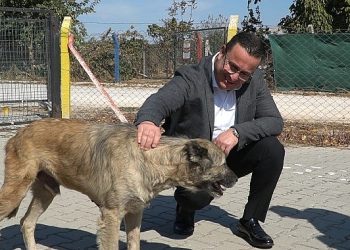 Mustafakemalpaşa hayvan barınağı 5 yılda binlerce cana yuva oldu