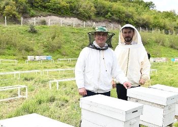 Mustafakemalpaşa tarımda en bereketli devrini yaşıyor