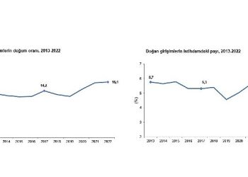 Teşebbüslerin 2022 yılında doğum oranı yüzde 16,1 oldu