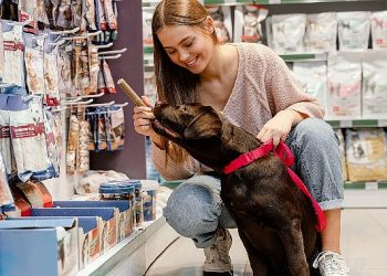 Türkiye evcil hayvan eserleri pazarında