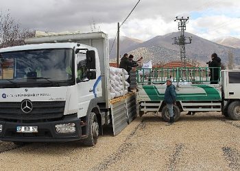 Antalya Büyükşehir Belediyesi’nin süt yemi takviyesi sürüyor
