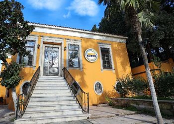 Buca’nın çınarları için dört dörtlük merkez