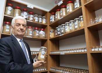 Büyükşehir 1 Milyon Lokal Tohumun Dağıtımına Başlıyor