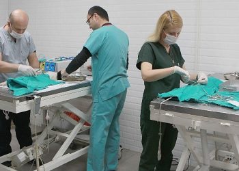 Can dostlara sıcak yuva ve mama takviyesi