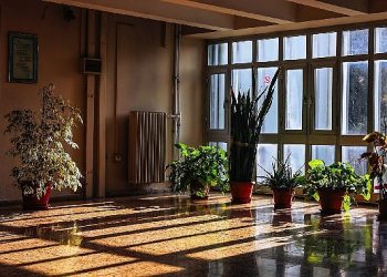 Deü’den yeşil muvaffakiyet: karbon ayak izi en düşük üniversite