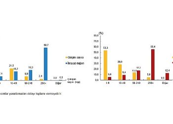 Hizmet ihracatının yüzde 58,7’sini, hizmet ithalatının yüzde 55,4’ünü büyük ölçekli teşebbüsler yaptı