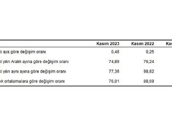 Hizmet Üretici Fiyat Endeksi (H-ÜFE) yıllık yüzde 77,36, aylık yüzde 0,46 arttı