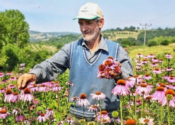 İnegöl’de 2023 Tarım Yılı Oldu