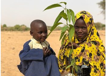 İşsizliğe karşı mango diktiler