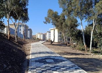 Lider Sandal kelam verdi, yaptı!