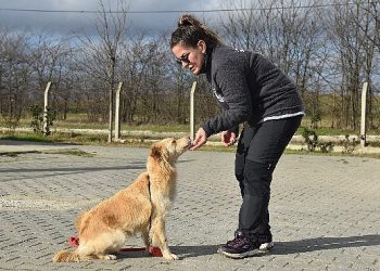 Lüleburgaz Belediyesi’nden bir birinci daha