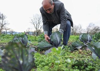 Nilüferli çiftçiler bilimsel üretimle kazanacak