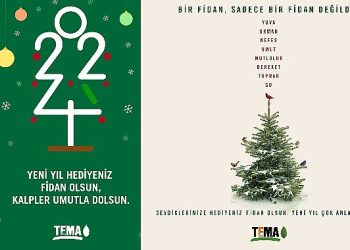 TEMA Vakfı’ndan yeni yılda fidan bağışı daveti: Her bir fidan, bir umut demek