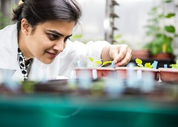 Türkiye ve Birleşik Krallık ortasındaki bilim iştirakleri ve araştırma iş birlikleri için 100 bin Sterlin fon takviyesi