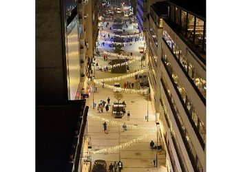 Ulusal Kütüphane Caddesi çiçek açtı