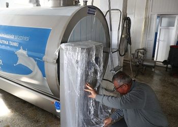 Antalya Büyükşehir Mahalleli sütünü daha düzgün kaidelerde koruma edecek