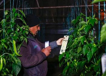 Antalya Büyükşehir’in çiftçiye takviyeleri sürüyor