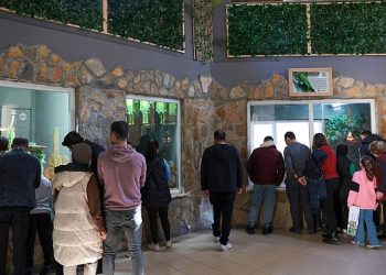 Antalya Doğal Hayat Parkı çocuk sesleriyle renklendi