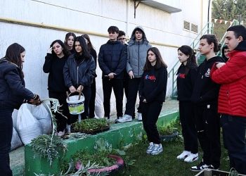 Ders ortasında fide ektiler